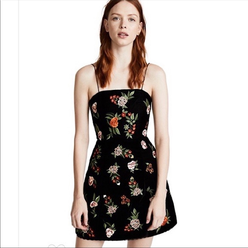 Launa Embroidered Velvet Dress